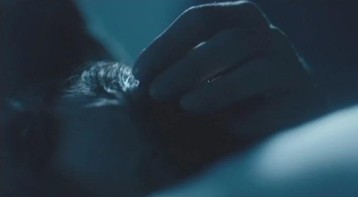 The Doctor S Early Life Tardis Fandom Evil's best moments is during a group therapy session, casually dismissing his deranged childhood as typical. the doctor s early life tardis fandom