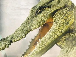 Crocodilian (The Skull of Sobek)