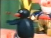 Pingu FG