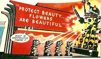 Protect Beauty