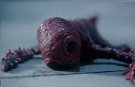 RedLeech