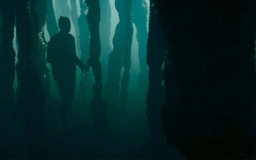 Yaz is trapped in another place (Spyfall).jpg