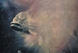 Stingray Breaks Out!