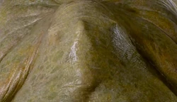  in the process of being absorbed