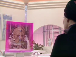 Davros talks business with Kara over a video conference call.