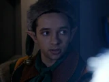 Wolf (Last Christmas)
