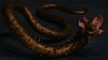 Grant serpent snake