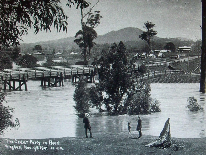 Cedar Party Creek Taree Wiki Fandom