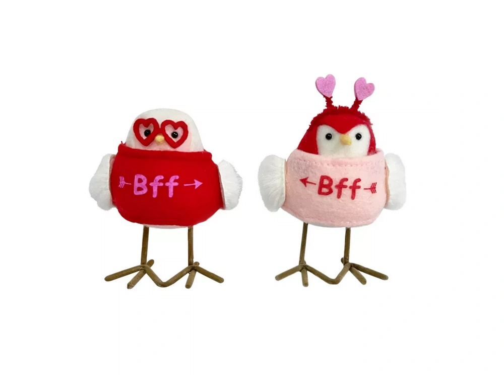 Heart Glasses Valentine 2023 Mini Target Birds Wiki Fandom