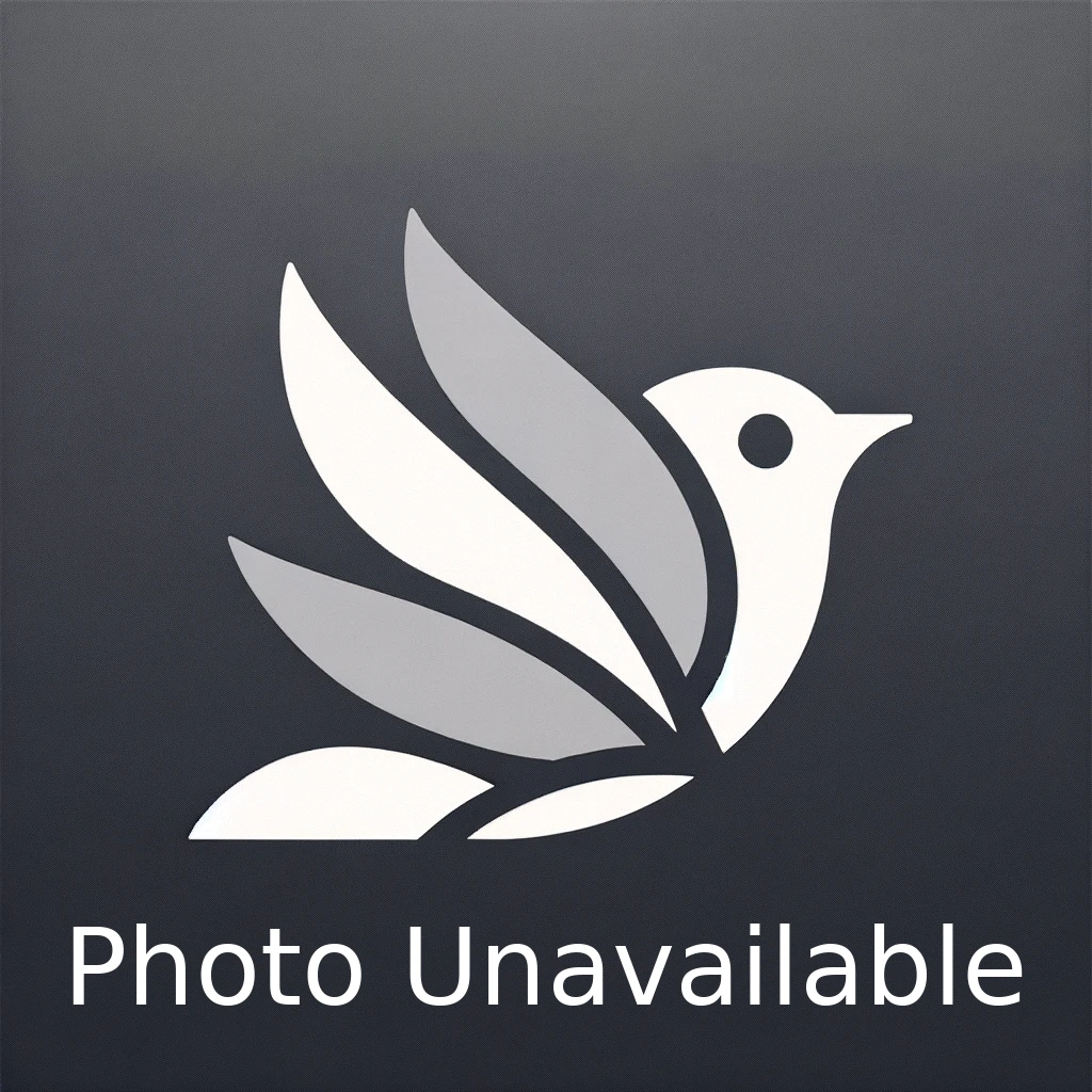 Pride 2024 Unnamed First Pride Bird Target Birds Wiki Fandom