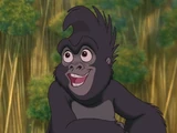 Terk