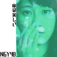 NGY48 - Inochi wa Utsukushii (Type-C)