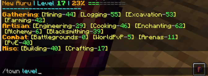 /town level command input/output example.
