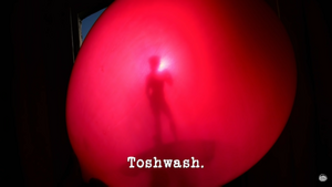 Toshwash.