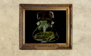 Mawaan Rizwan