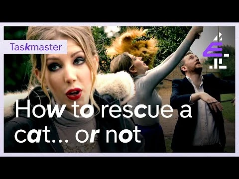 Rescue the cat (Series 2) | Taskmaster Wiki | Fandom