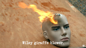 Wiley giraffe blower.