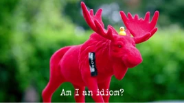 Am I an idiom?