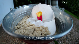 The clever side?