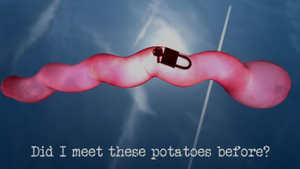 Did I meet these potatoes before?