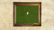 Mawaan Rizwan