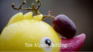 The Alpine Darling.