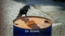 Le Goose.