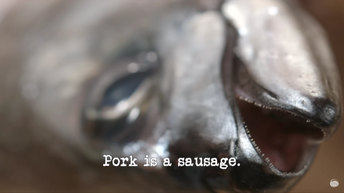 Pork is a sausage. Taskmaster Wiki Fandom