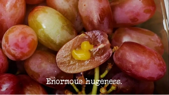 Enormous hugeness. | Taskmaster Wiki | Fandom