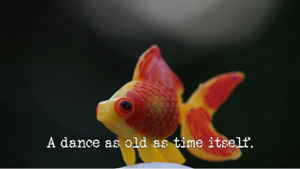 A dance as old as time itself.