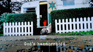 God's haemorrhoid.