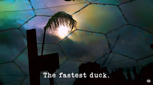 The fastest duck.