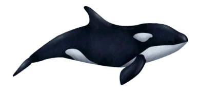 Orca | Tasty Planet Wiki | Fandom