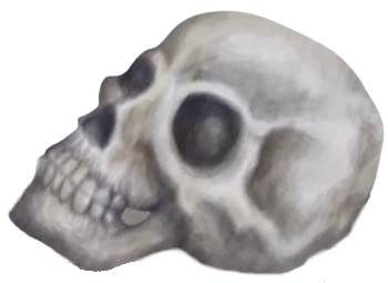 skull:  Fandom