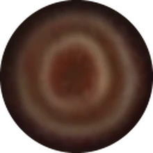 Jupiter Tasty Planet Wiki Fandom Planet jupiter png collections download alot of images for planet jupiter download free with high quality for designers. jupiter tasty planet wiki fandom