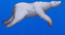 Polar Bear