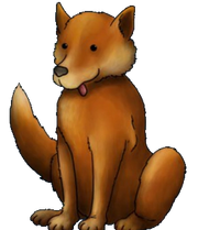 Dingo-tasty-planet-forever