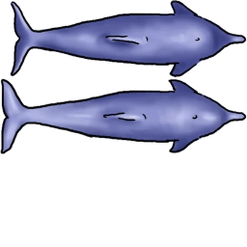 Dolphin | Tasty Planet Wiki | Fandom