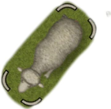 Sheep | Tasty Planet Wiki | Fandom