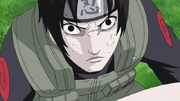 Sai Furioso