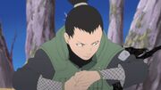 Shikamaru analizando