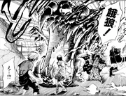 Elemento Agua Boca de Lobo