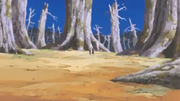 Desierto Konoha
