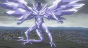 Images (3)