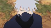 Kakashi voluntad