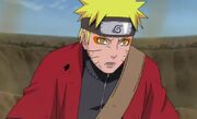 Naruto sabio