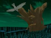  y  se dirijen hacia Satsujin.