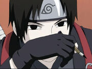 Sai