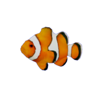 Clown Fish | Tattletail Roblox RP Wiki | Fandom