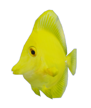Tropical Fish 1 Tattletail Roblox RP Wiki Fandom
